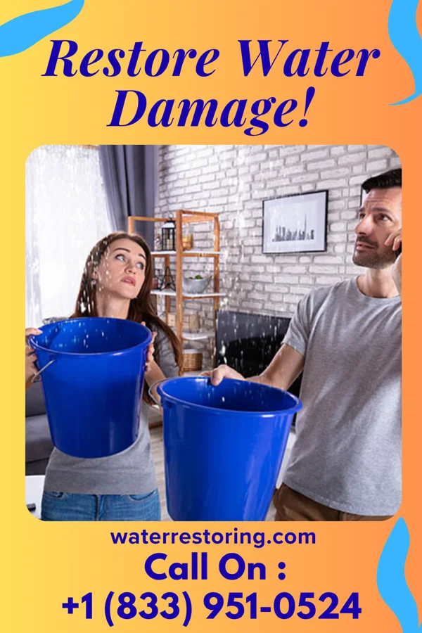 water restoration Victory Damage Recovery Professionals Aripeka